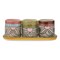 Gnome Mini Planters with Tray Multicolor Ceramic Garden Pots 3x2.75x2.75 Inches Perfect for Christmas Decor